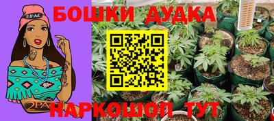 PSILOCYBIN Краснодар